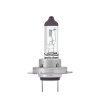 Halogen