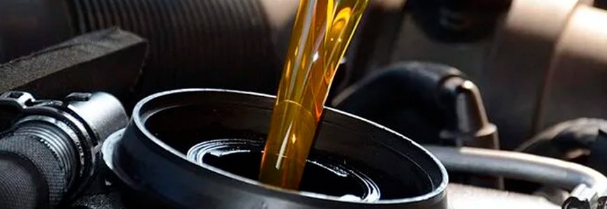 Oil & Filter Change